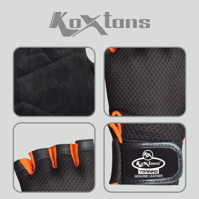 Koxtan Sports Gloves Training