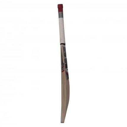 SS 281 Kashmir Willow Cricket Bat