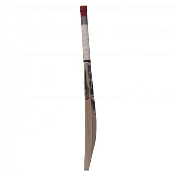 SS 281 Kashmir Willow Cricket Bat