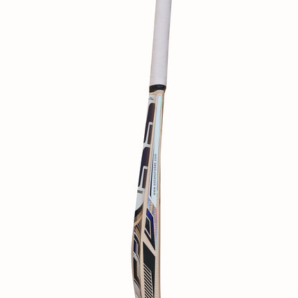 SS Master 100 Kashmir Willow Cricket Bat