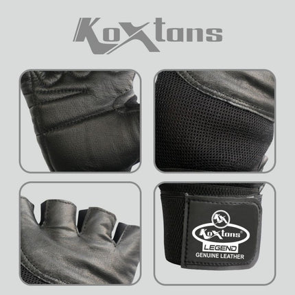 Koxtan Sports Gloves Legend