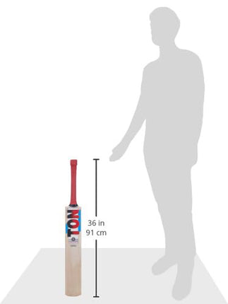 SS Ton Maximus Kashmir Willow Cricket Bat