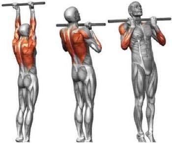 Phantom Hanging Rod 24'' With Chain and foam Grip