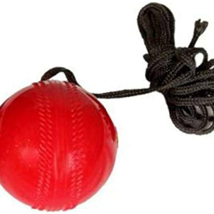 DK Synthetic Hanging Ball