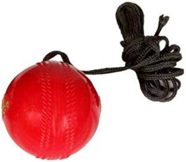 DK Synthetic Hanging Ball
