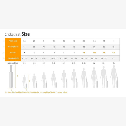RS Sports Cricket Bat