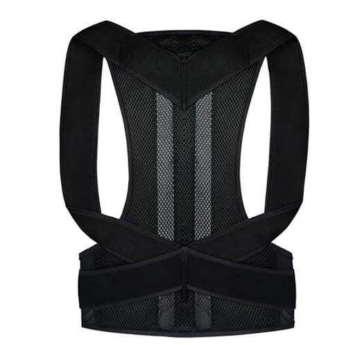 Pulseit Posture Back Support