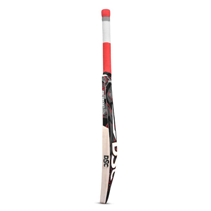 Dsc Lava Kashmir Willow Cricket Bat