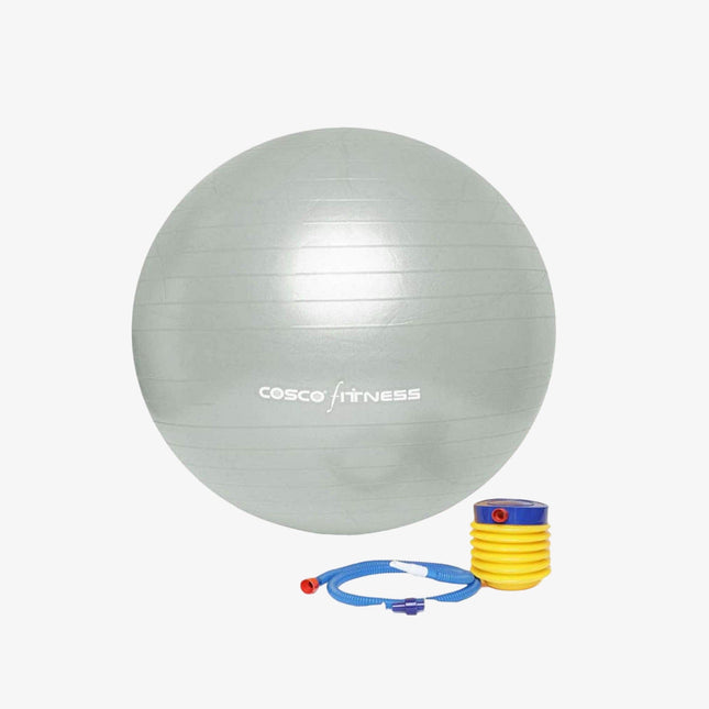 Cosco Gym Ball (65cm/75cm/85cm/95cm)