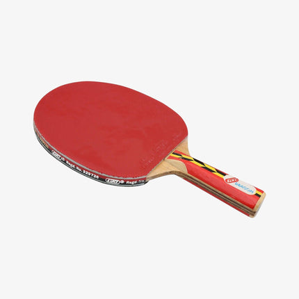 GKI Dragon Table Tennis Racquet