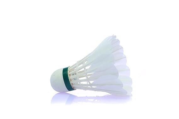 Turbo Badminton Feather Shuttlecock (Pc)
