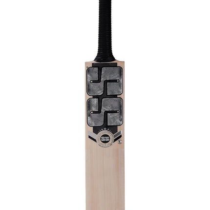 SS 3.0 Kashmir Willow Cricket Bat