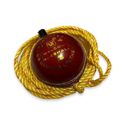 Vixen Cricket Stroke Leather Ball