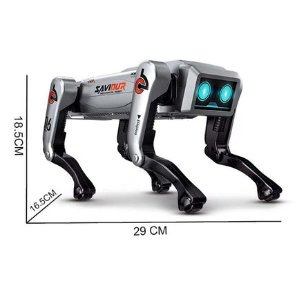 NS AI Robot Remote Control