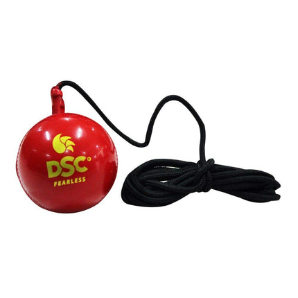 DSC Synthetic Hanging Ball