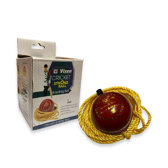 Vixen Cricket Stroke Leather Ball