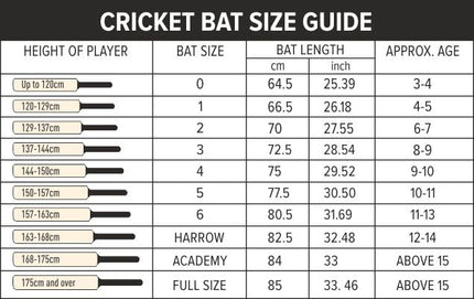 Dsc Lava Kashmir Willow Cricket Bat