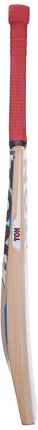 SS Ton Maximus Kashmir Willow Cricket Bat