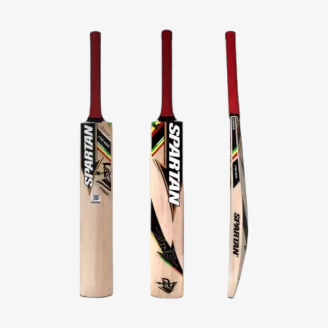 Spartan Chris Gayle Cyclone Kashmir Willow Cricket Bat