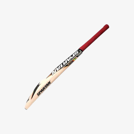 Spartan Chris Gayle Cyclone Kashmir Willow Cricket Bat