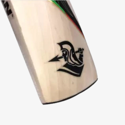 Spartan Chris Gayle Cyclone Kashmir Willow Cricket Bat