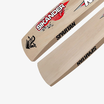 Spartan Sikender 3000 Kashmir Willow Cricket Bat