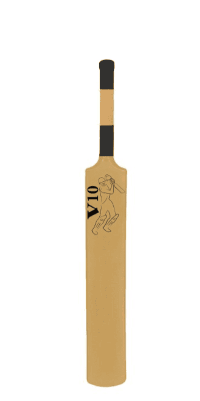 Vicky Platic Cricket Bat V10