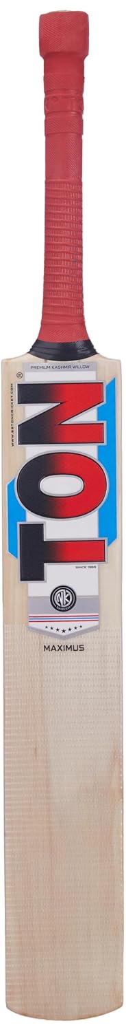 SS Ton Maximus Kashmir Willow Cricket Bat