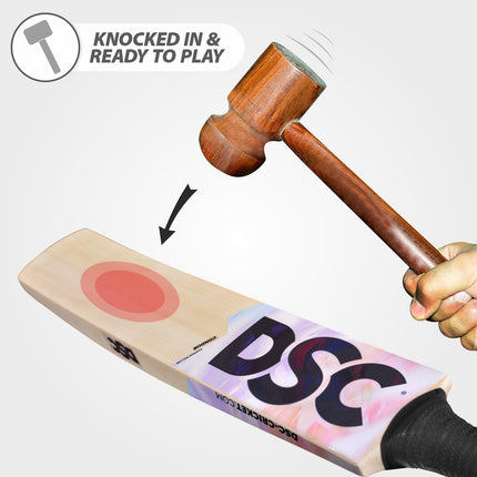 DSC Condor Scud Kashmir Willow Cricket Bat