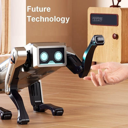 NS AI Robot Remote Control