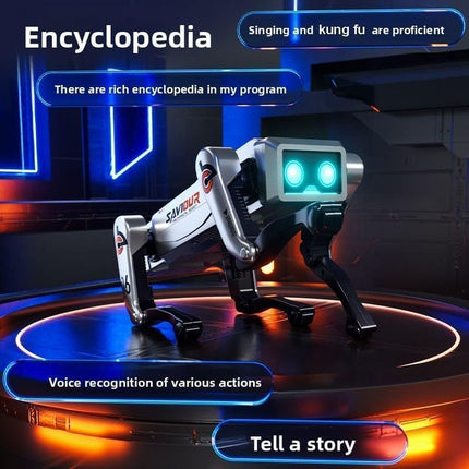 NS AI Robot Remote Control