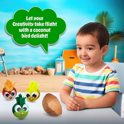 Kreeda Coco Angry Birds Coconut Shell Craft Kit