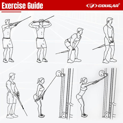 Cougar WLB-122 Tricep Straps