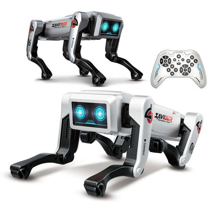 NS AI Robot Remote Control