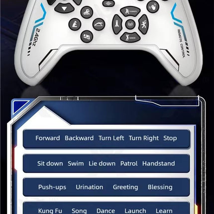 NS AI Robot Remote Control