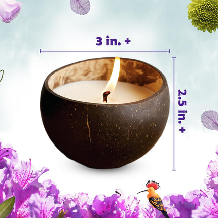 Kreeda Coconut Candle Making Kit
