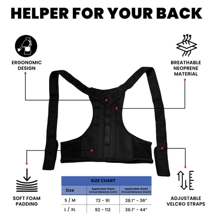 Pulseit Posture Back Support