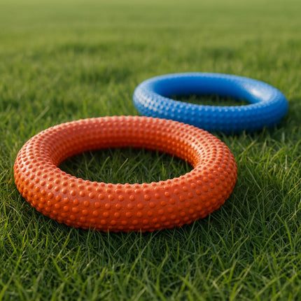 Kaizen Tennikoit Ring