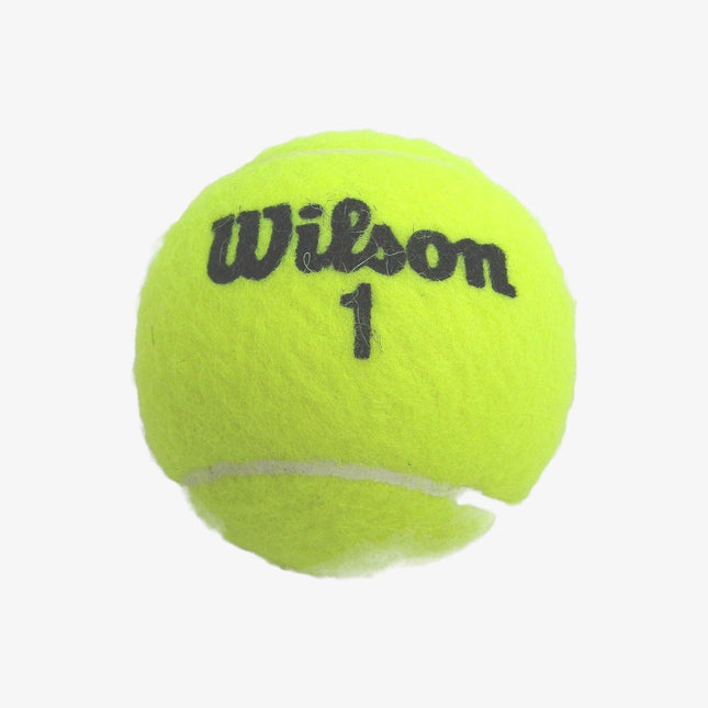 Wilson Championship Tennis Ball (Pack of 3)