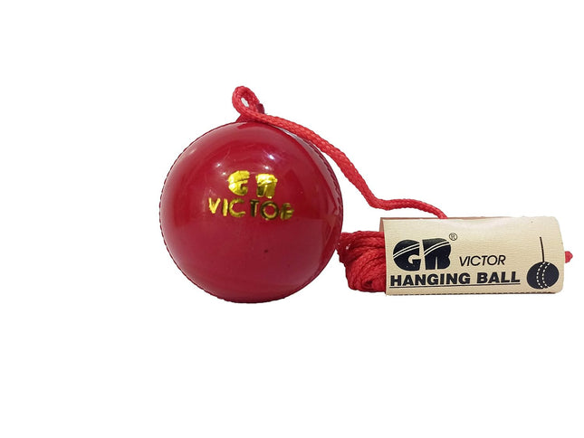 BLS Cricket Knocking Ball Victor