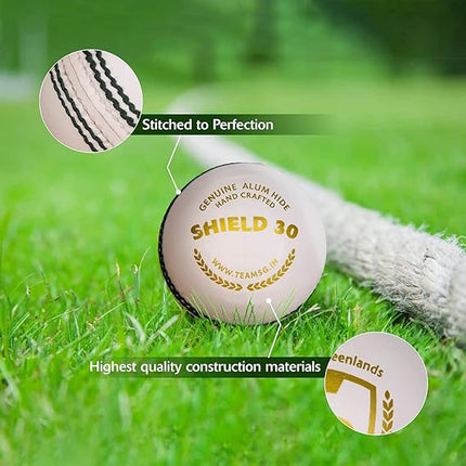 SG Leather Cricket Ball SHIELD 30 White