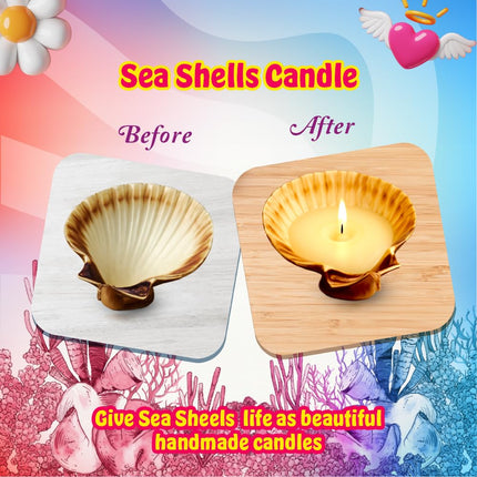 Kreeda Natural Seashells Candle Making Kit