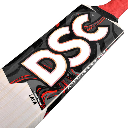 Dsc Lava Kashmir Willow Cricket Bat