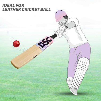 DSC Condor Scud Kashmir Willow Cricket Bat