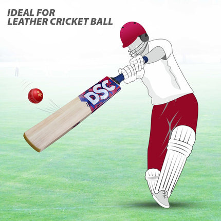 Dsc Intense Clout Kashmir Willow Cricket Bat