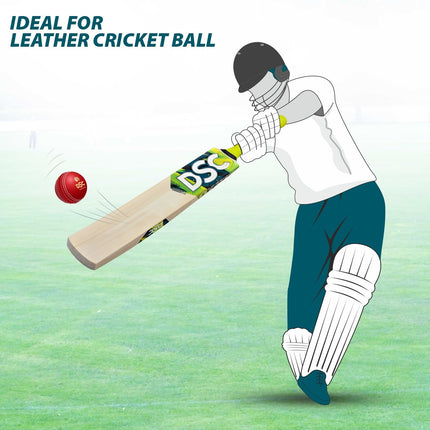 Dsc Torment LE Incredible Willow Cricket Bat
