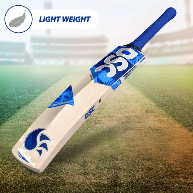 Dsc Dynamo LE Incredible Willow Cricket Bat