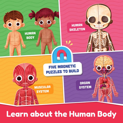 Super Human Body Learning  Kit