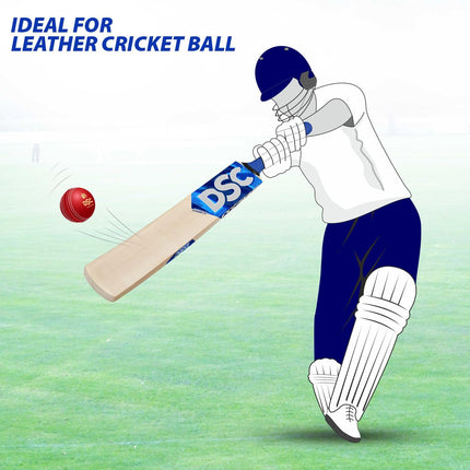 Dsc Dynamo LE Incredible Willow Cricket Bat