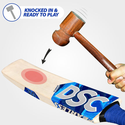 Dsc Dynamo LE Incredible Willow Cricket Bat